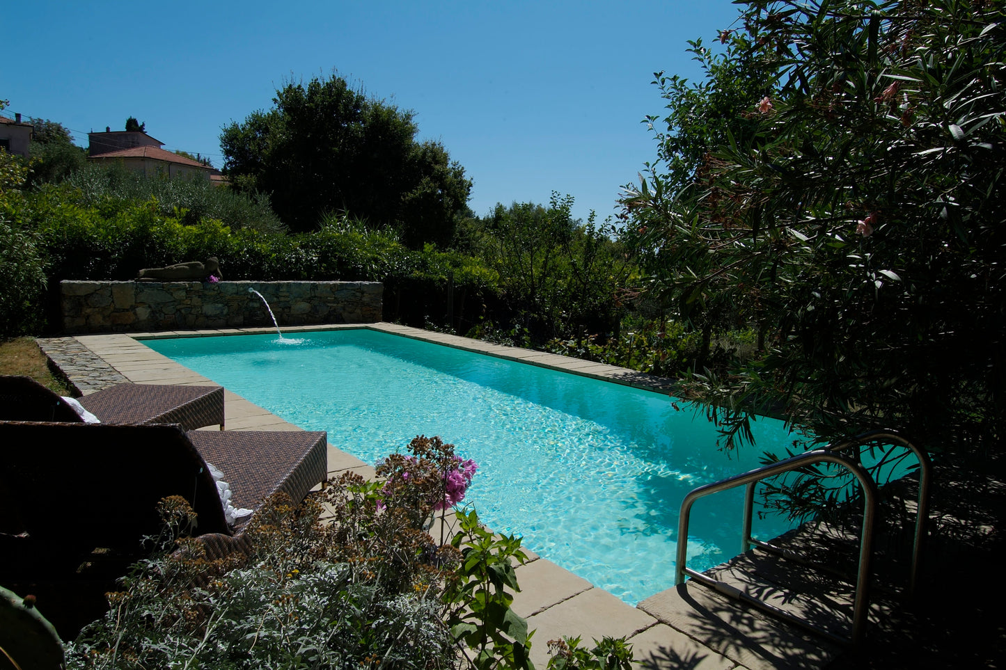 Bluespring Italia